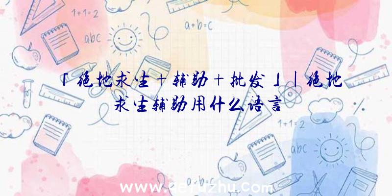 「绝地求生+辅助+批发」|绝地求生辅助用什么语言